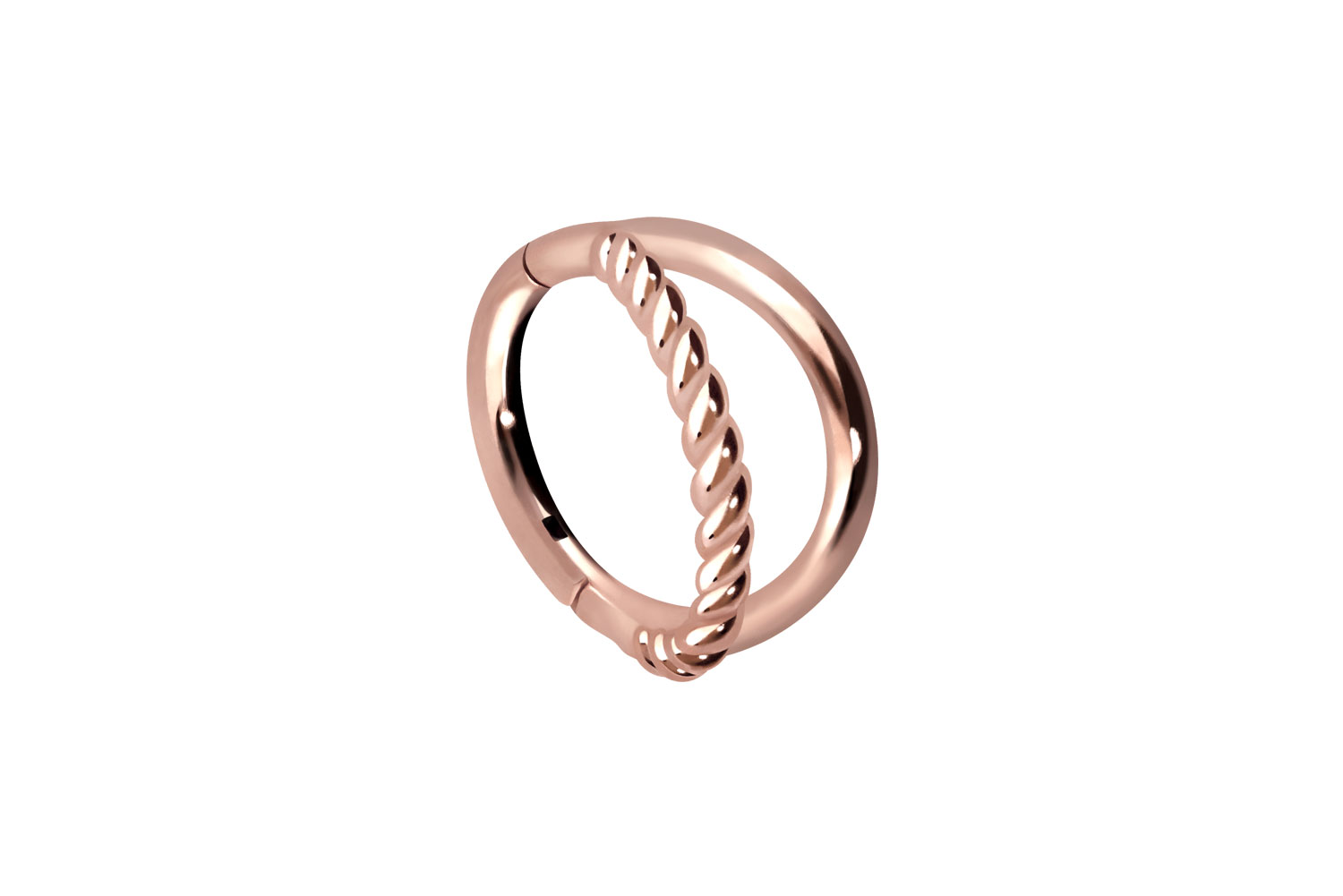Chirurgenstahl Segmentring Clicker Piercing 2 RINGE + GEDREHT